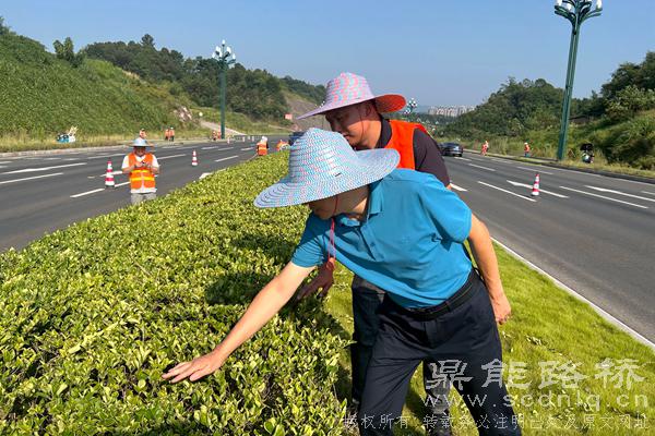 鼎能路橋到高新區(qū)市政管養(yǎng)項(xiàng)目檢查指導(dǎo)